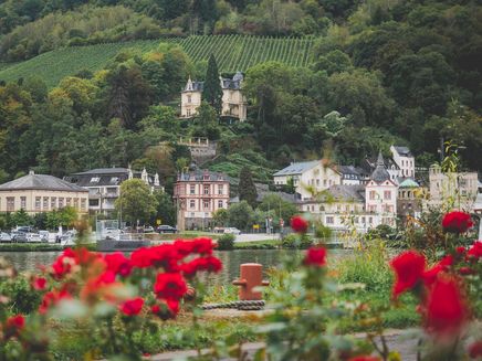 view-trarbach-flowery-moselle-traben-trarbach View on Trarbach