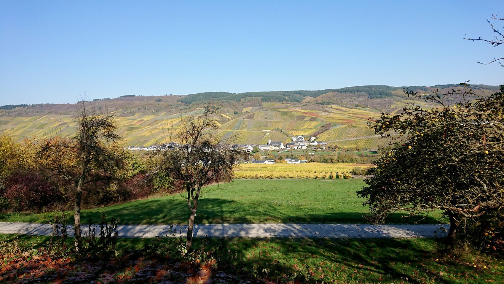 colours-view-nature-kindel-kinheim Colourful view on Kinheim