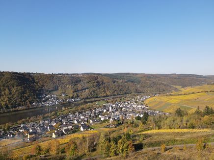 view-enkirch-autumn-village View on Enkirch in the autumn