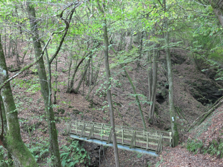 stream-kluckertsbach-hiking-trail-kluckertspfad-kinheim The stream