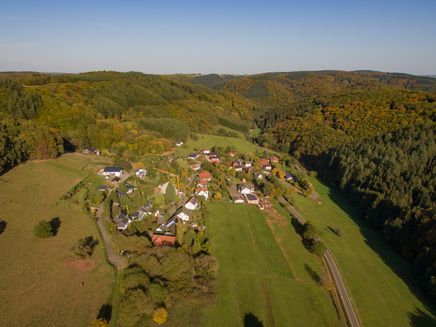 view-village-woods-diefenbach View on the village Diefenbach