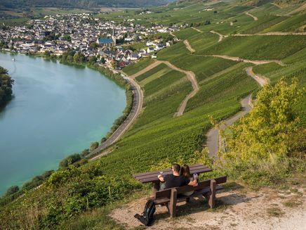 view-vineyards-moselle-kröv Viewpoint on Kröv