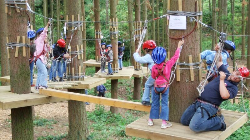 Fun and action Dizzy height in the adventure forest