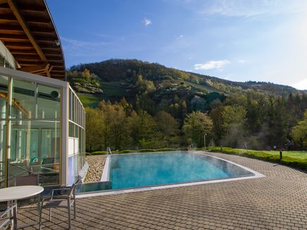 vineyards-outdoor-swimming-area-traben-trarbach-moseltherme Outside swimming area with view on the vineyards