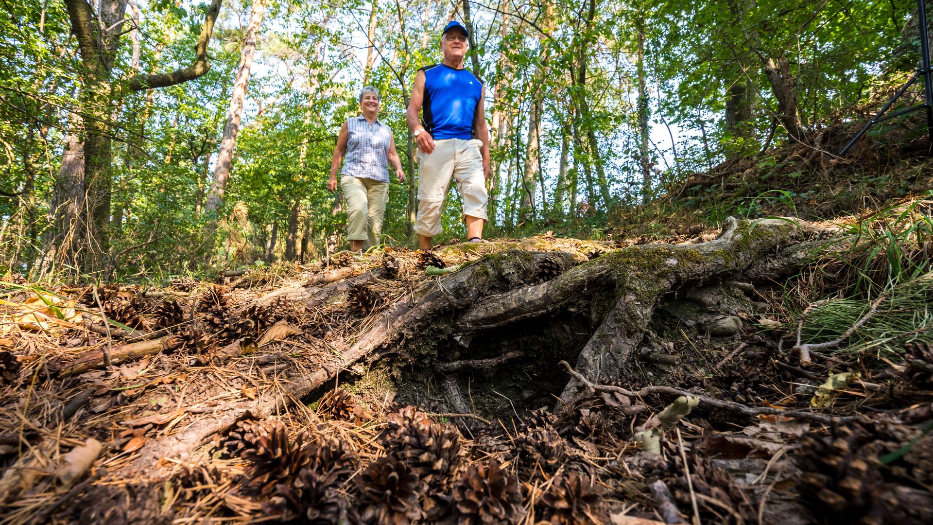Hiking tours Hiking couple in the calm wood